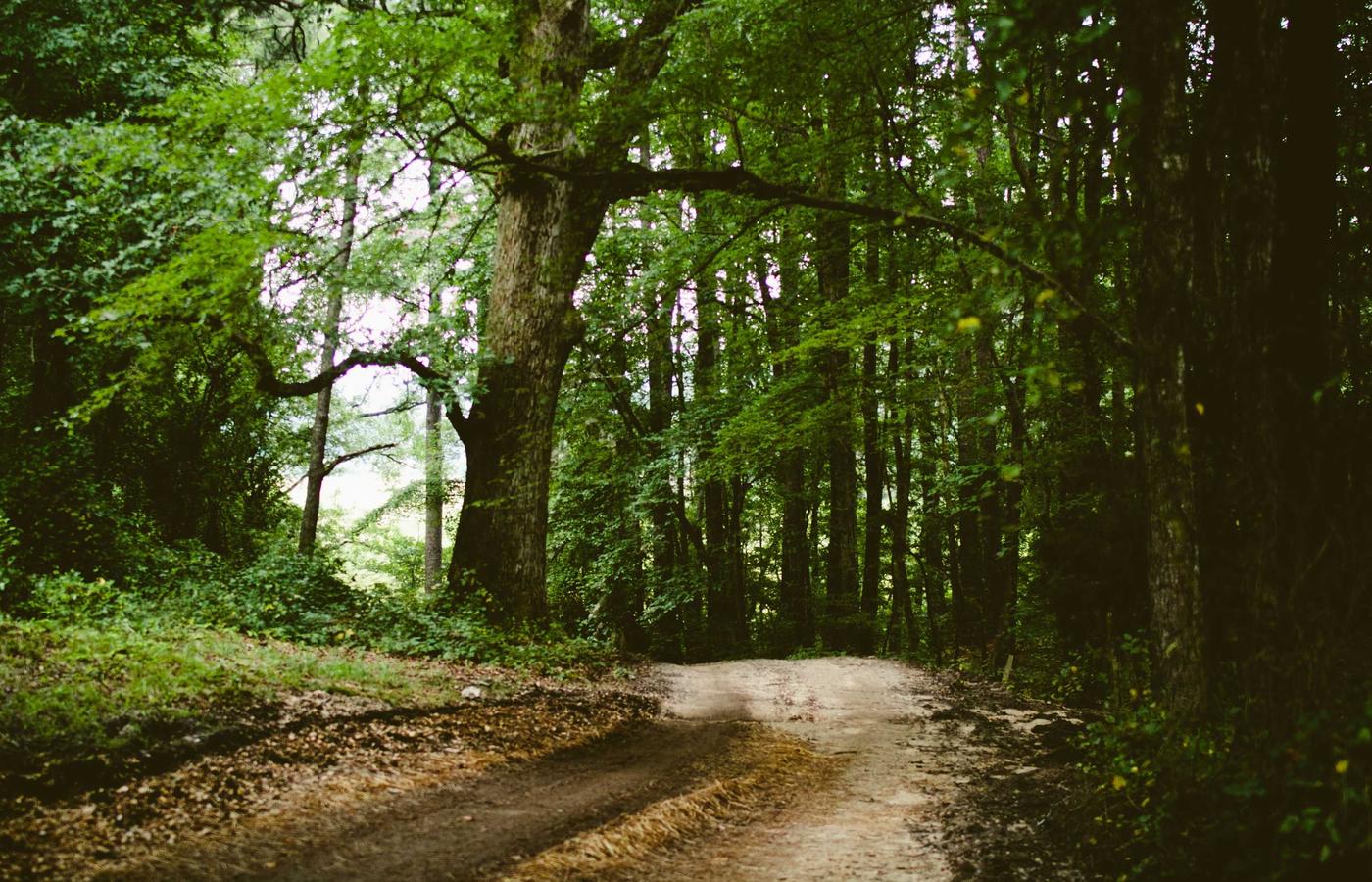 3 Questions That Changed How I See My Life
