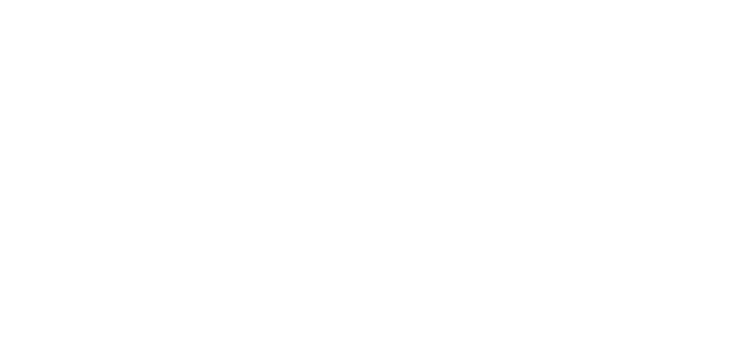 Accelevate